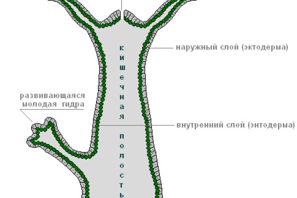 Не пришли деньги на кракен