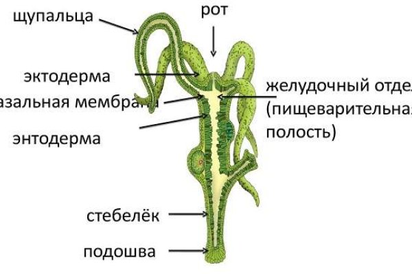 Кракен новый сайт