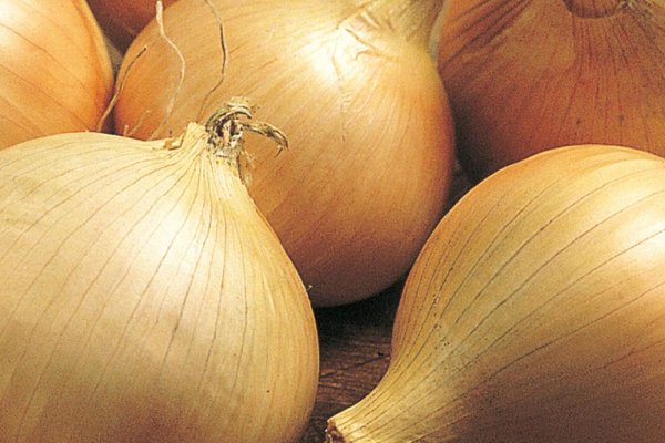 Ссылка на kraken 2022 onion top