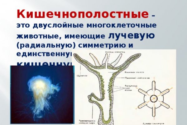 Кракен онион