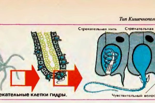 Ссылка на кракен тор kr2web in