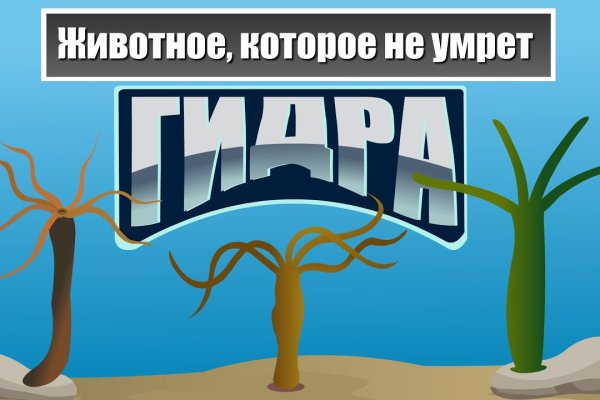 Как зайти на кракен в тор браузере